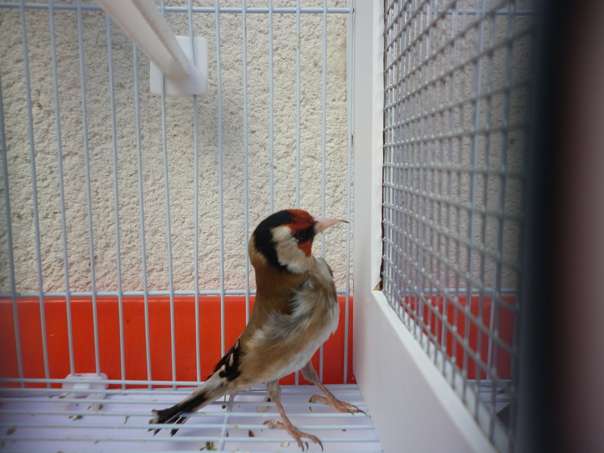 P1000167.JPG