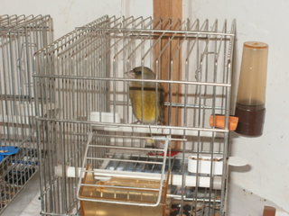 PC180093.JPG