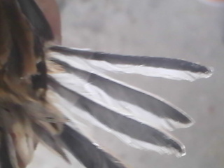 IMG039.jpg