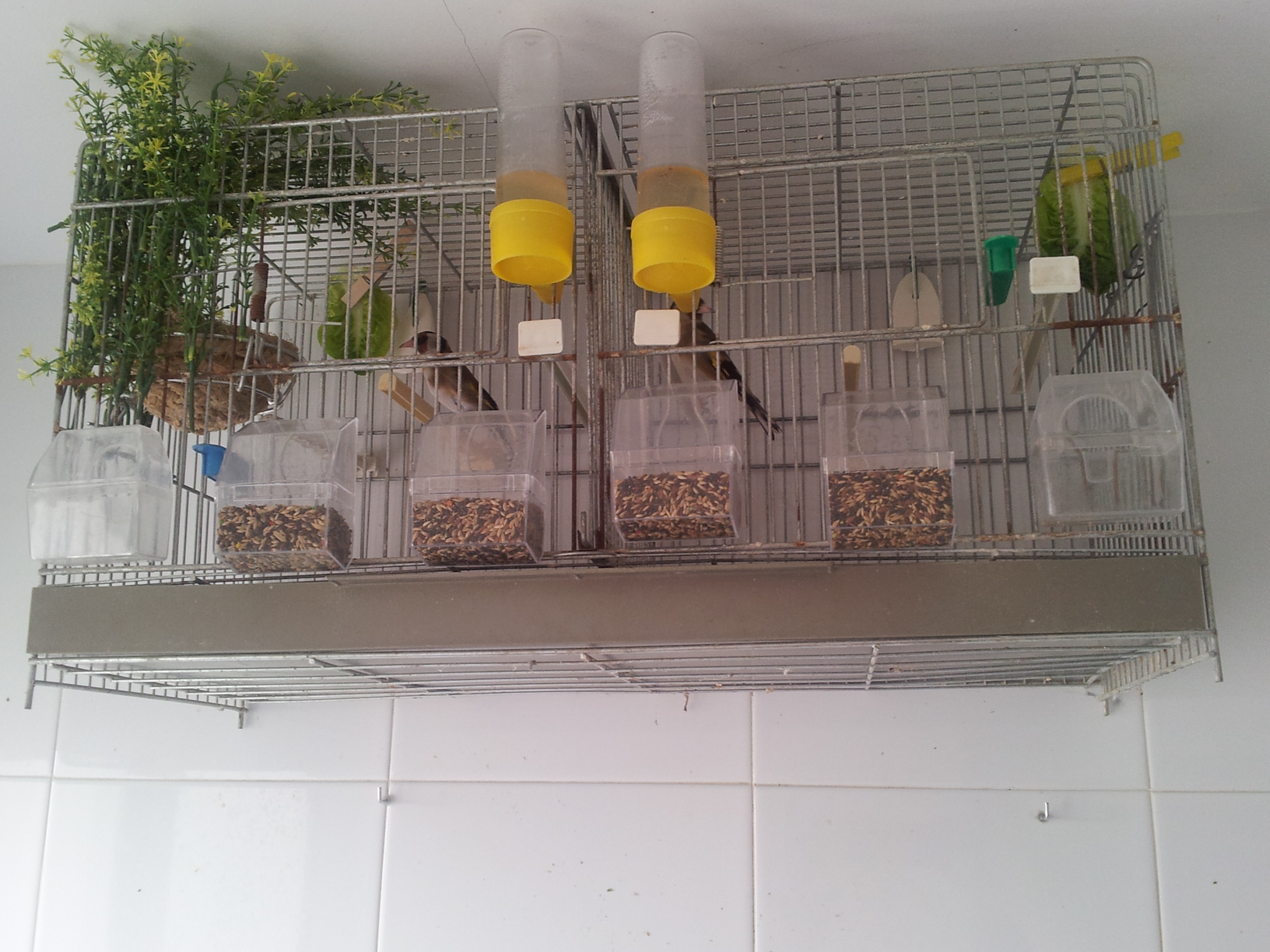 20120310_113745.jpg