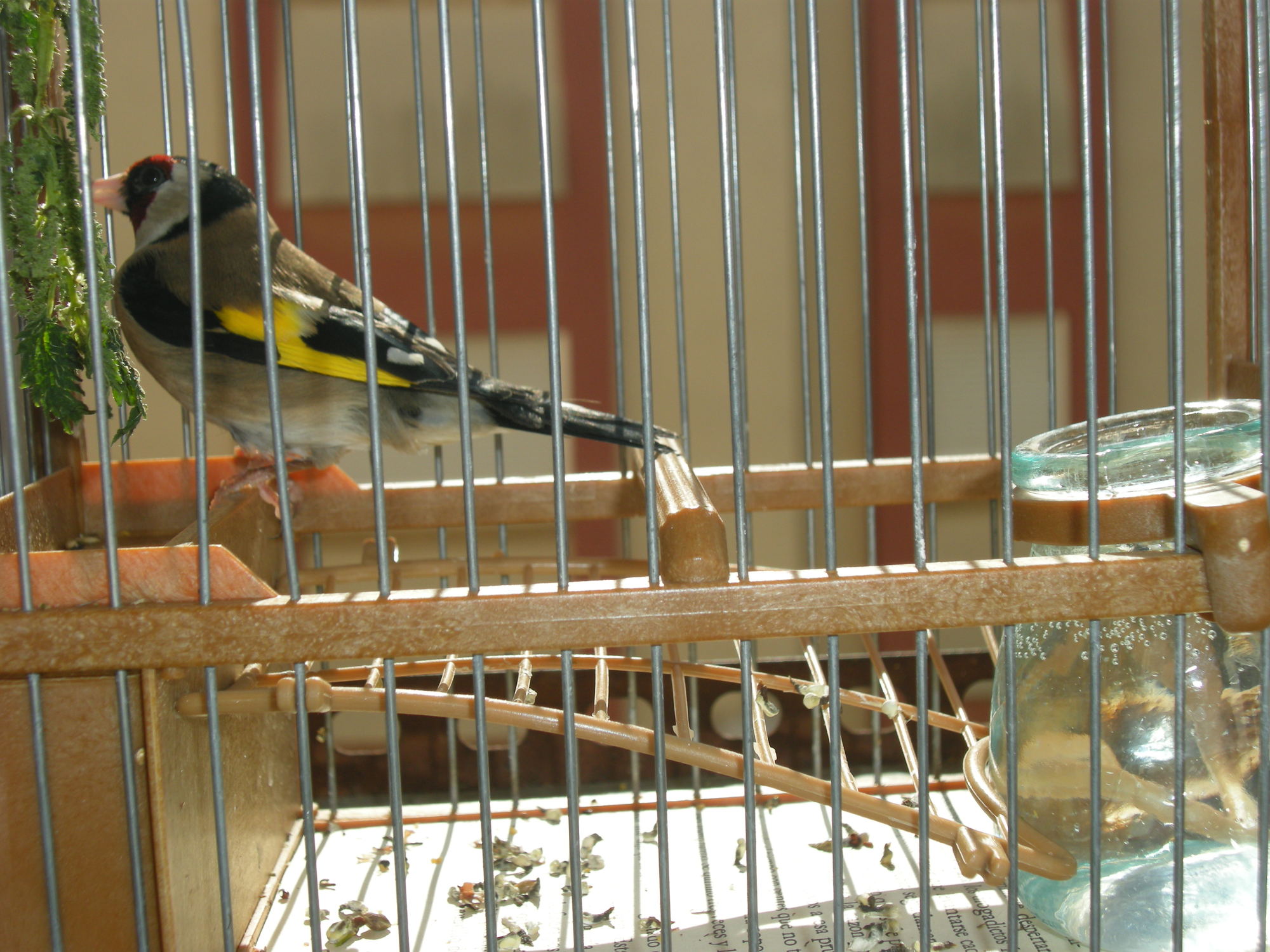 DSCN2327.JPG