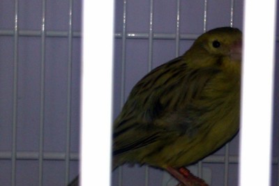 IMAG0078.jpg