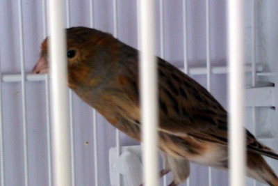 IMAG0082.jpg