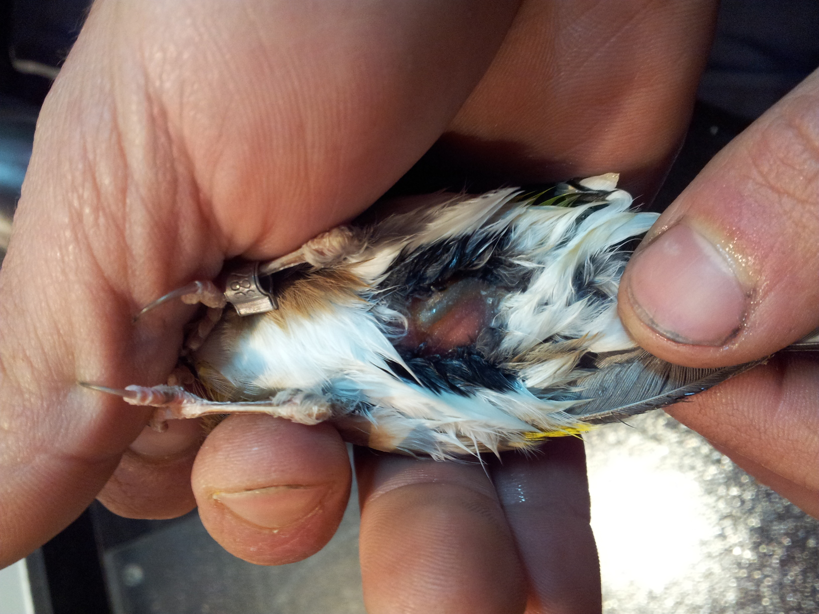 2012-03-11 20.12.12.jpg