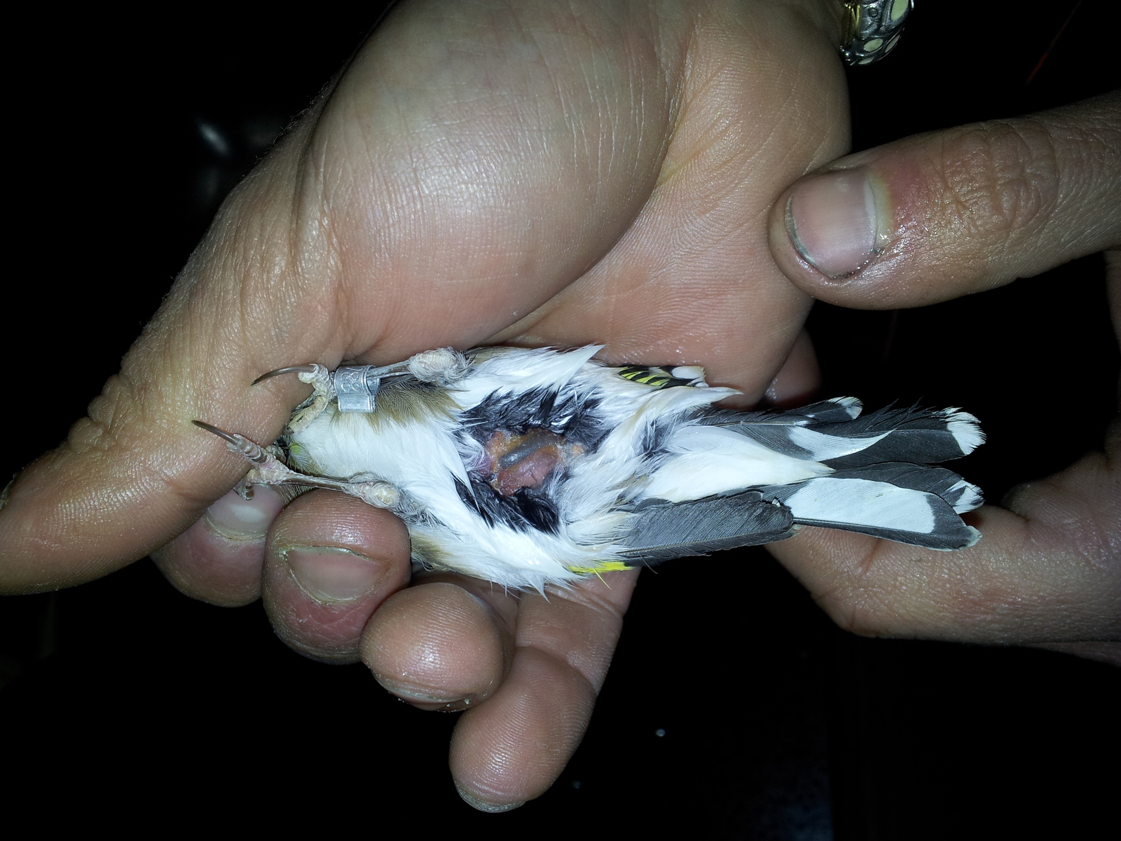 2012-03-11 20.11.46.jpg