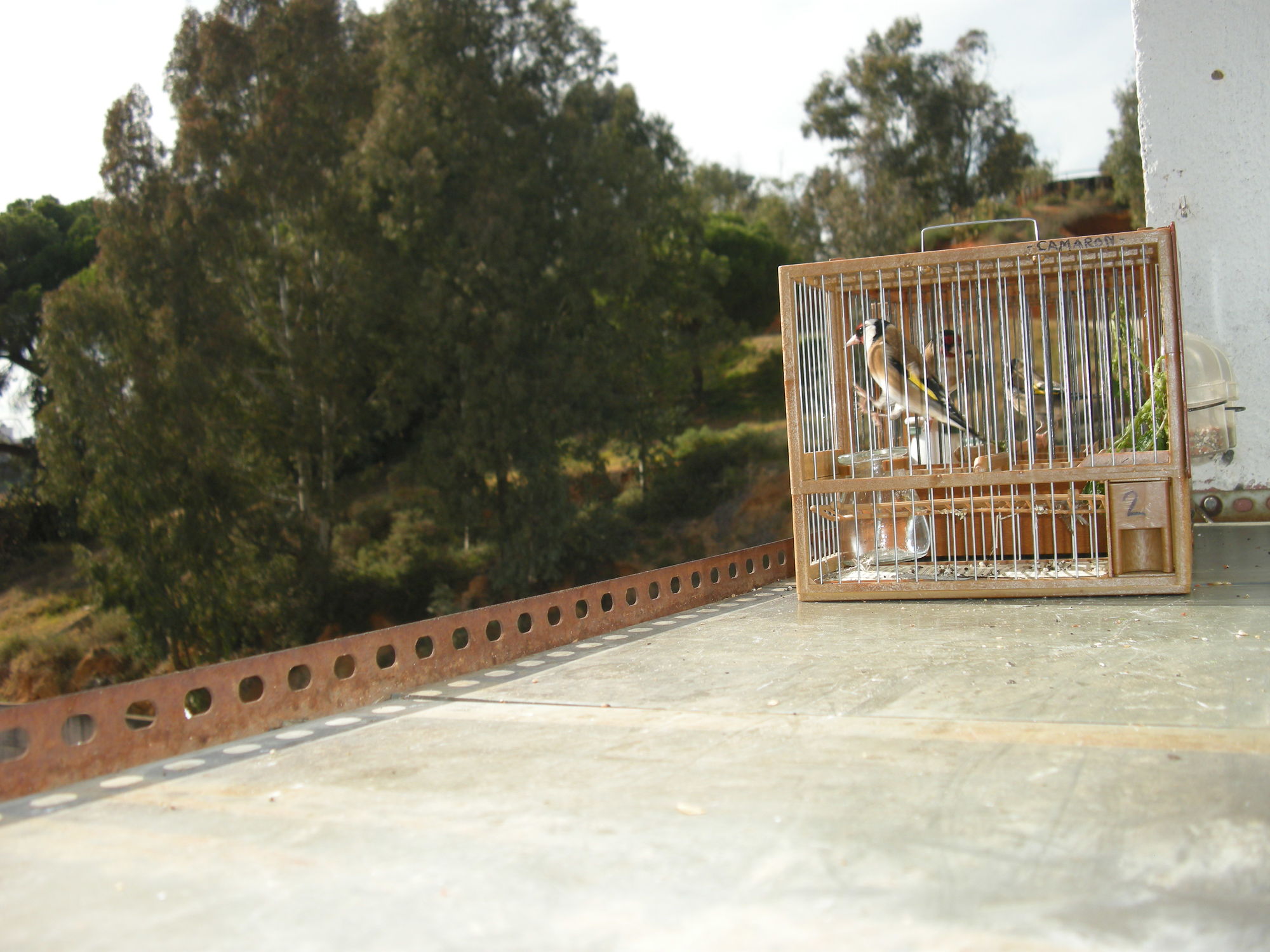 DSCN2342.JPG