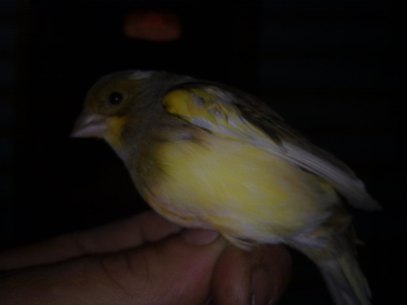 20122010081.jpg