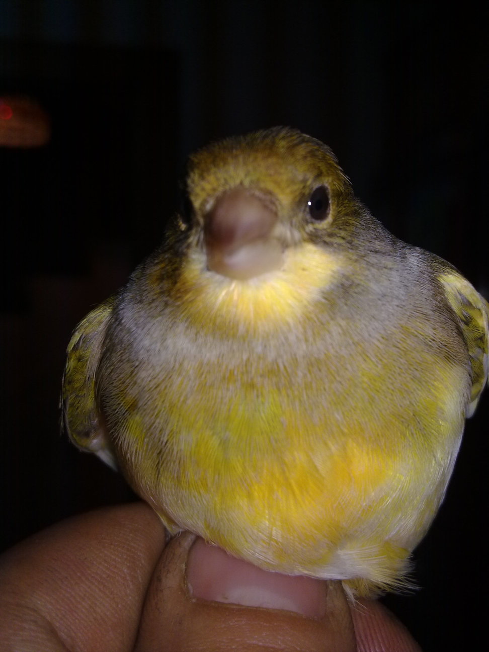 20122010082.jpg