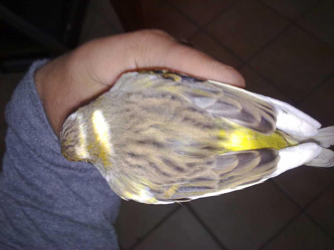 20122010083.jpg