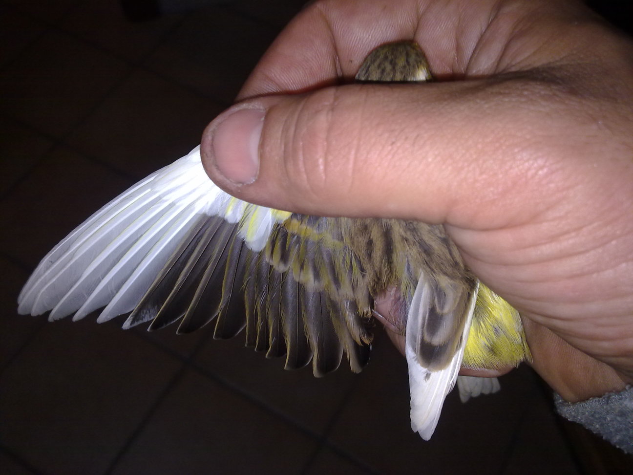 20122010084.jpg