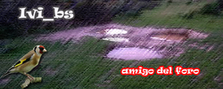 Sin título-1.png