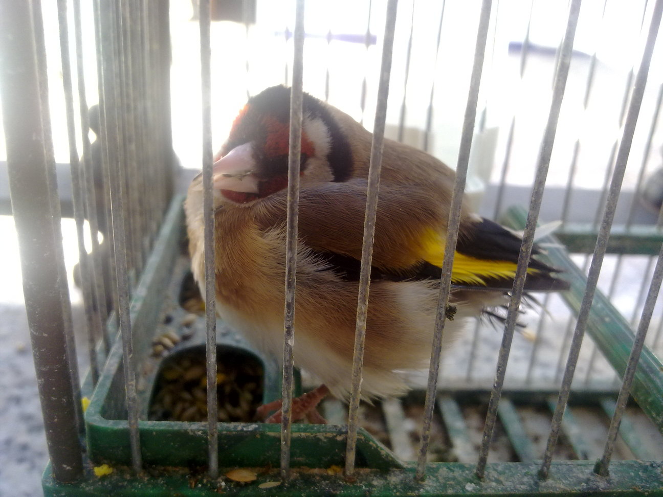 14032012181.jpg
