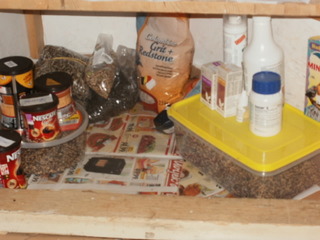 PC090023.JPG