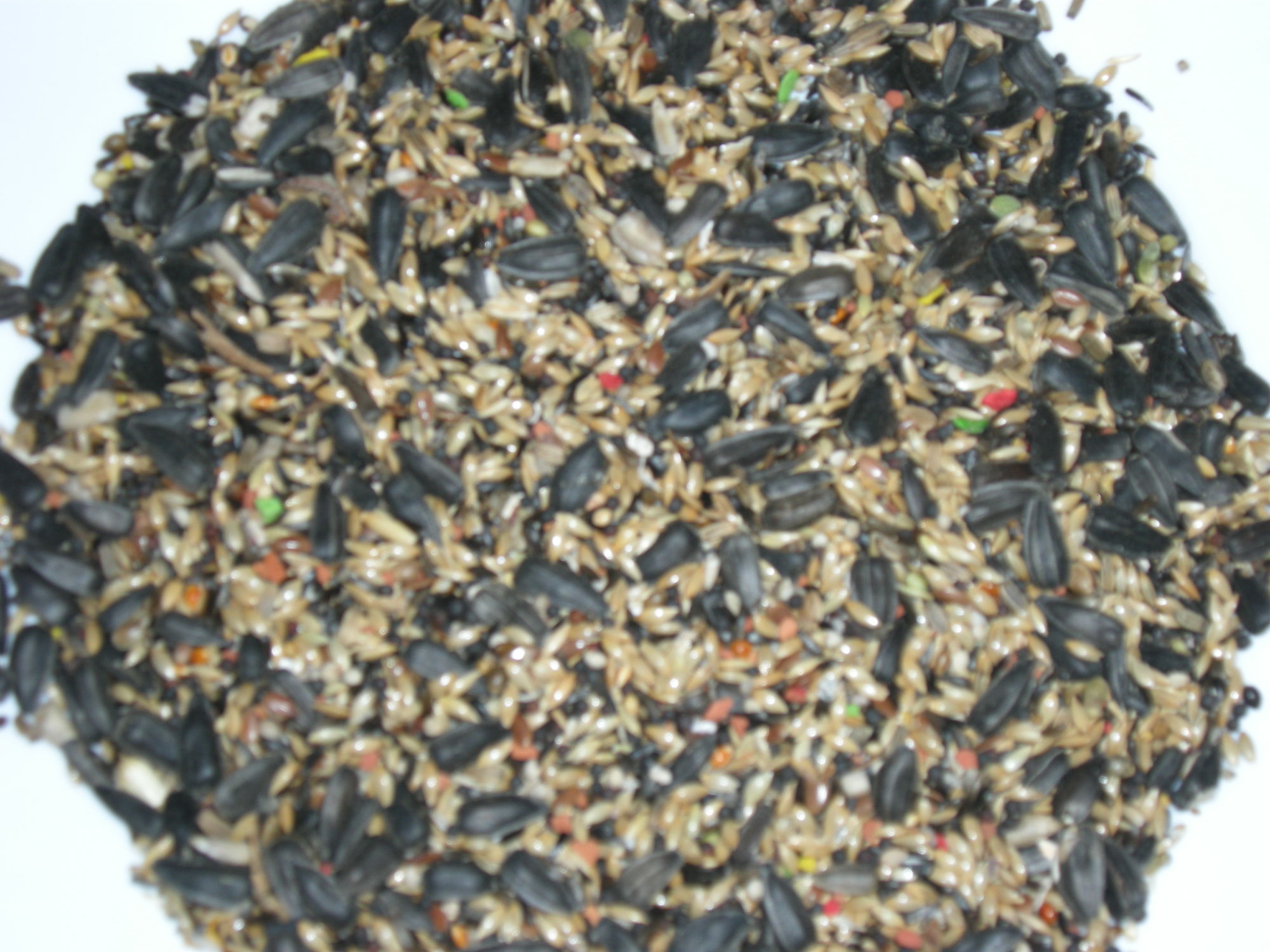 DSCN2363.JPG
