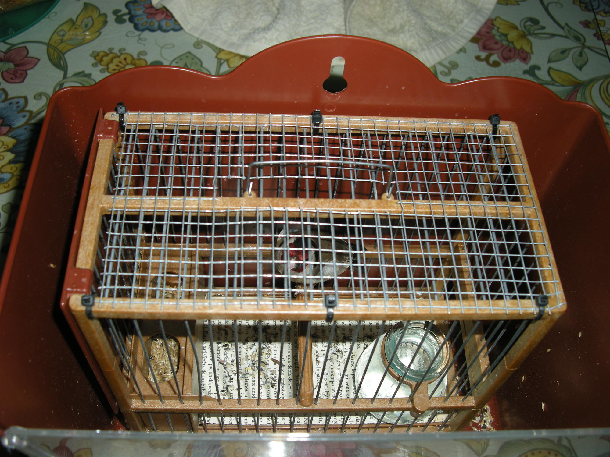 DSCN2364.JPG