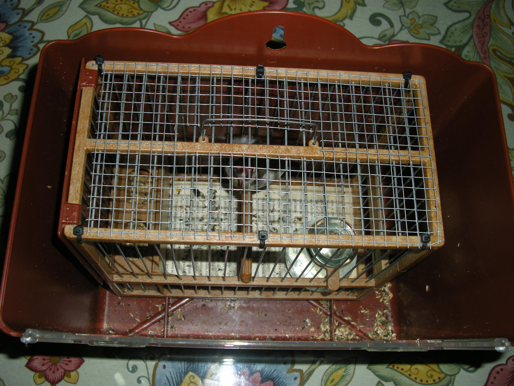 DSCN2365.JPG