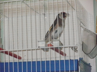 PC220032.JPG