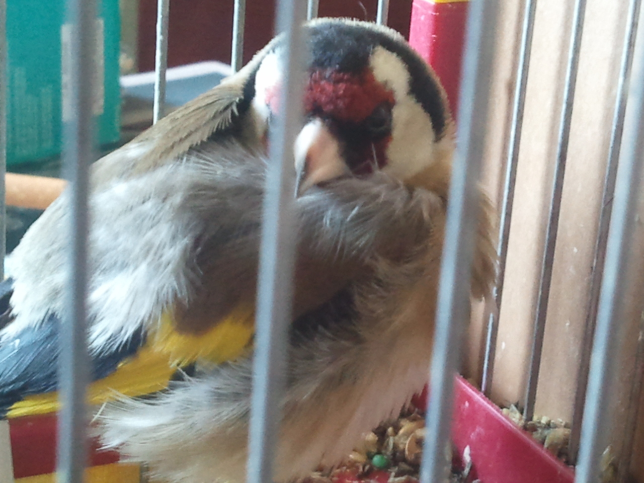 2012-03-19 11.06.15.jpg