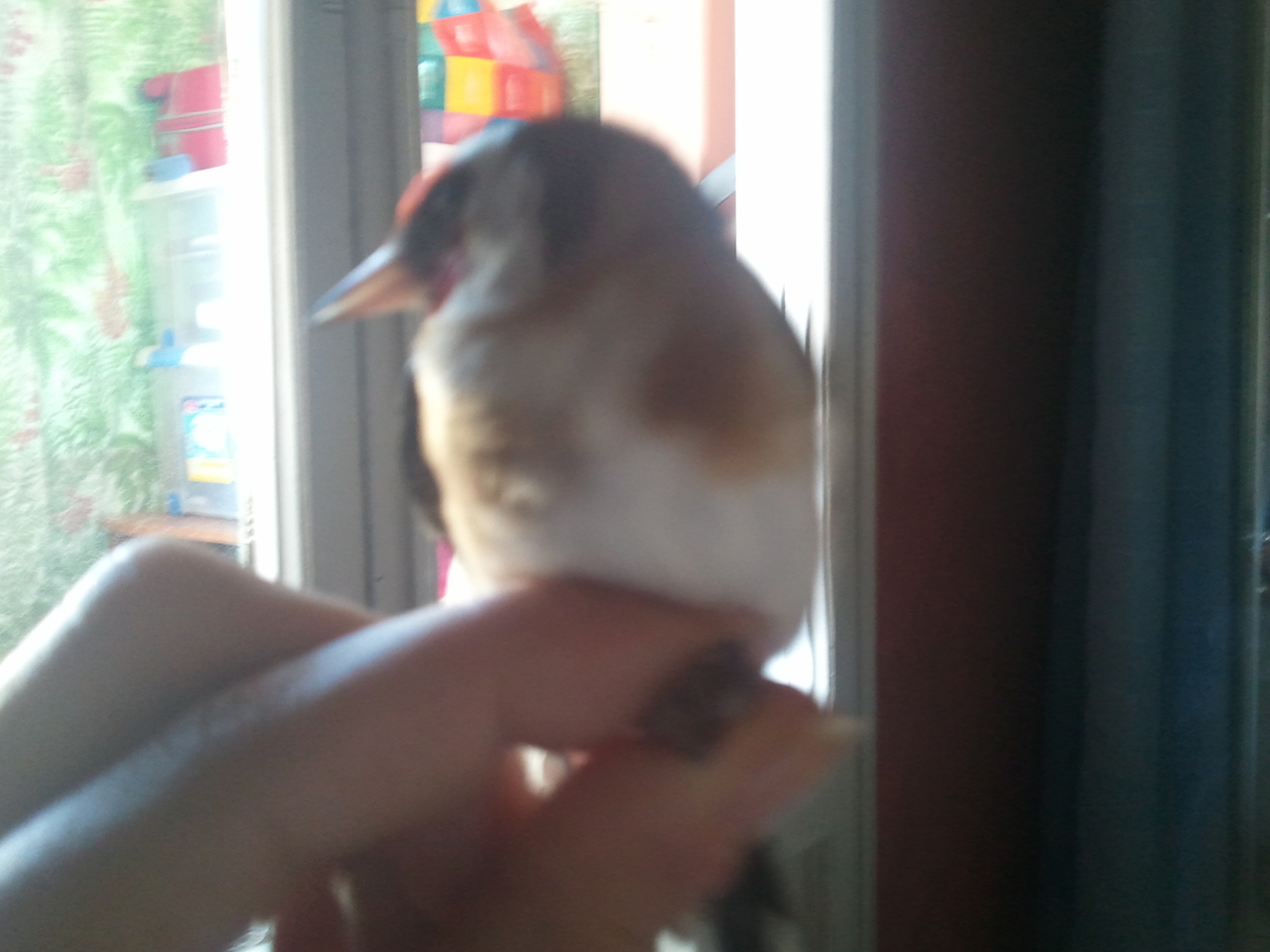 2012-03-19 11.07.43.jpg