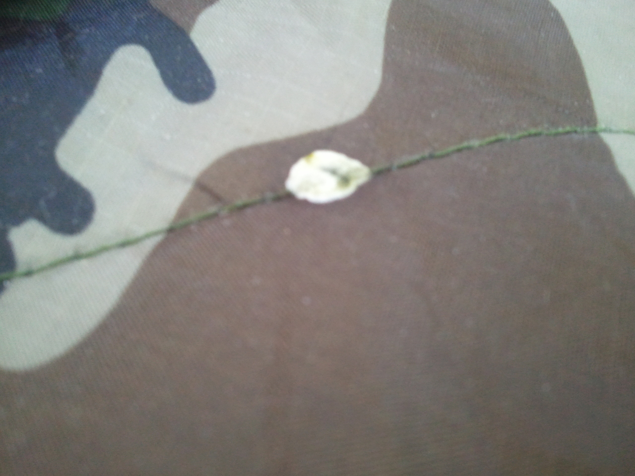 2012-03-19 11.11.37.jpg