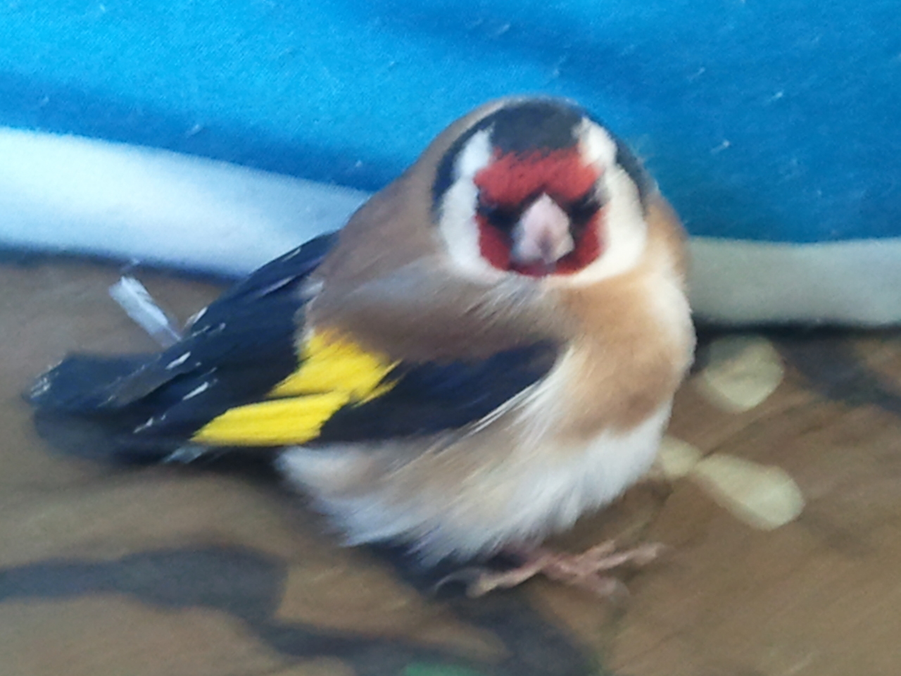 2012-03-19 11.13.05.jpg