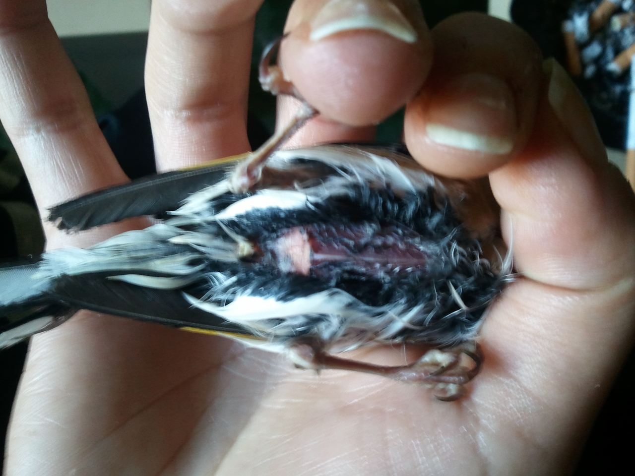 2012-03-19 13.19.50.jpg