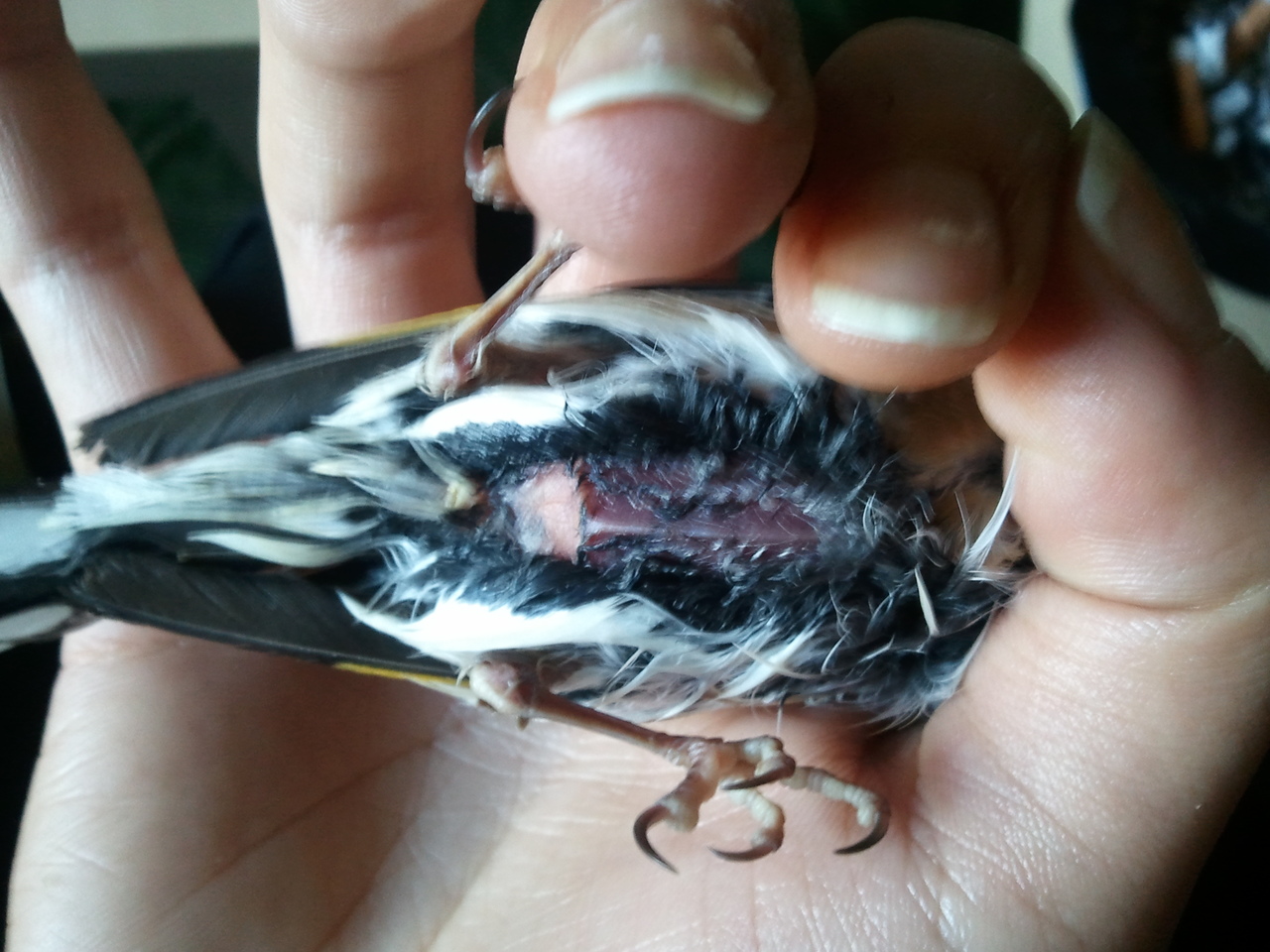 2012-03-19 13.19.53.jpg