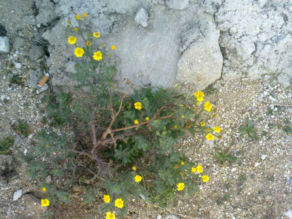 170320121084.jpg