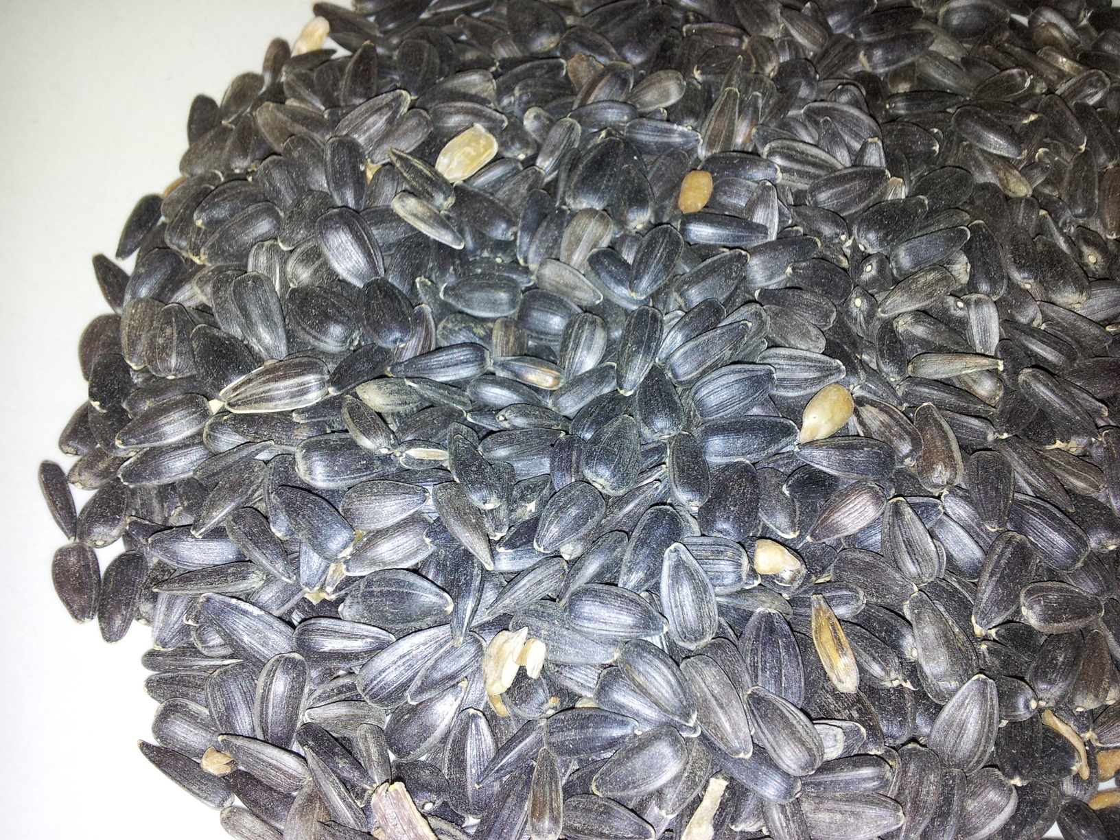 2012-03-19 19.43.06.jpg