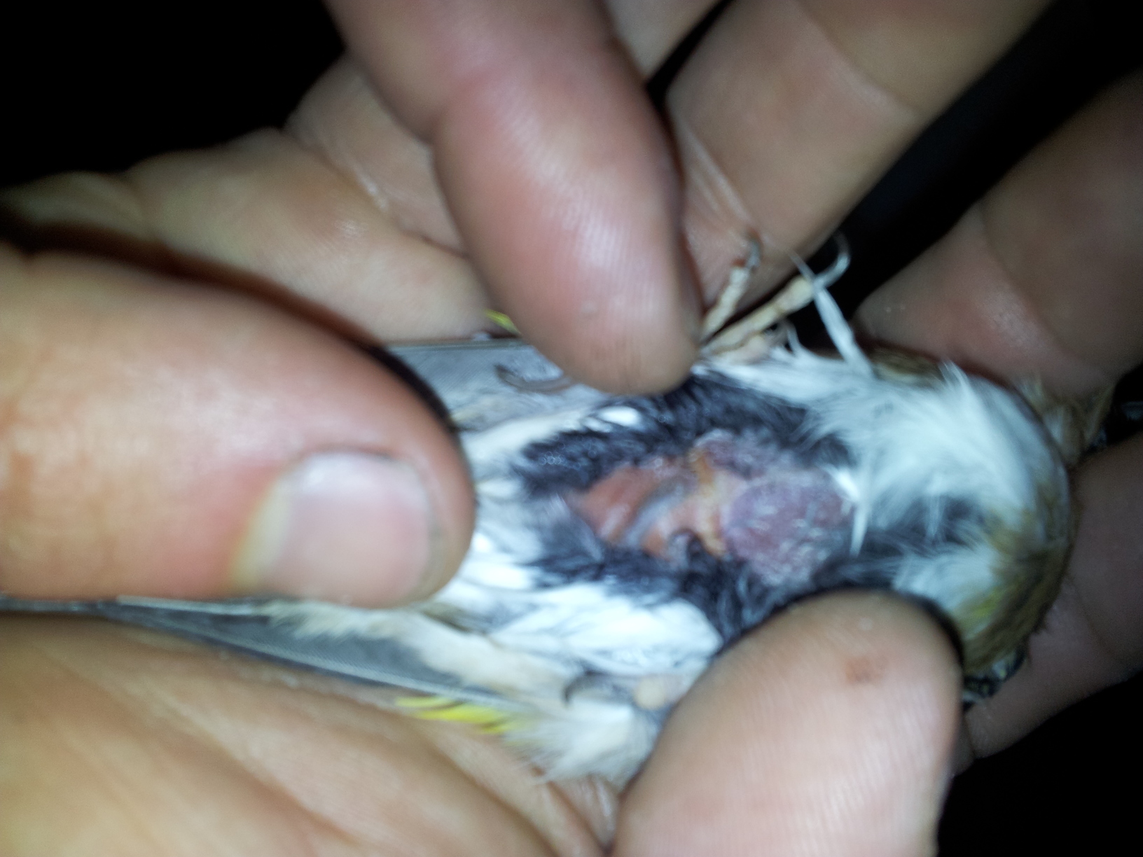 2012-03-19 22.41.07.jpg