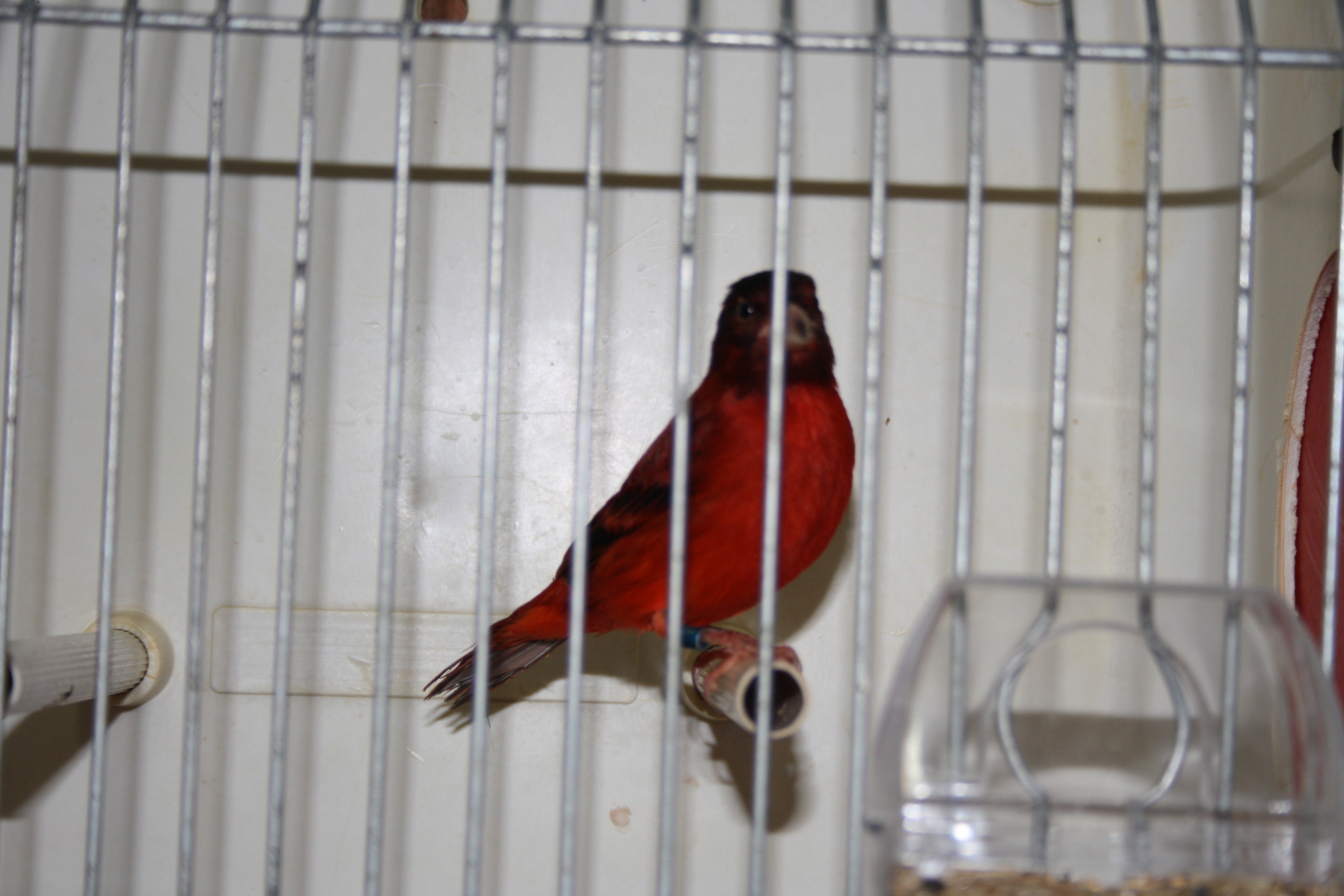 IMG_7328.JPG