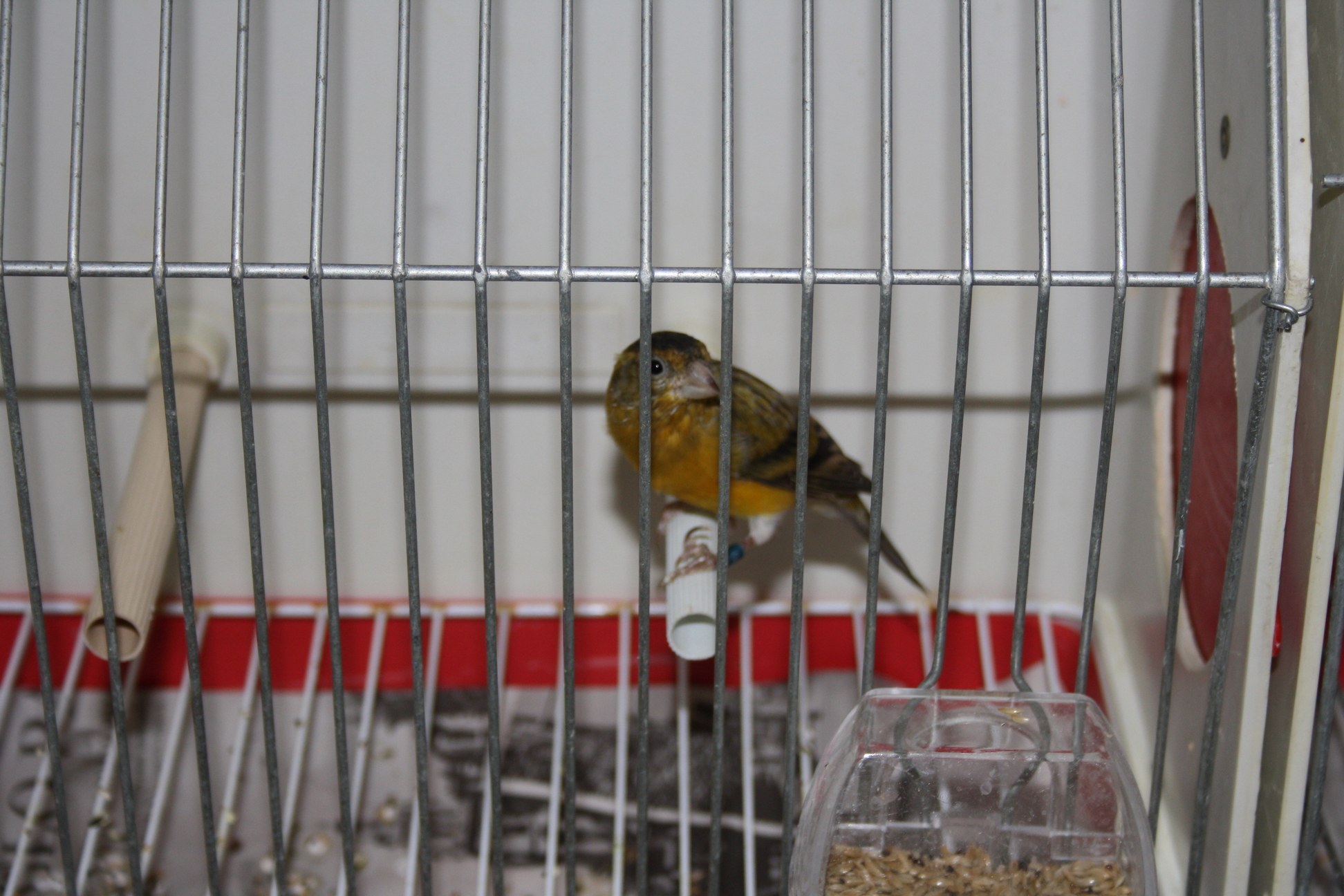 IMG_7330.JPG