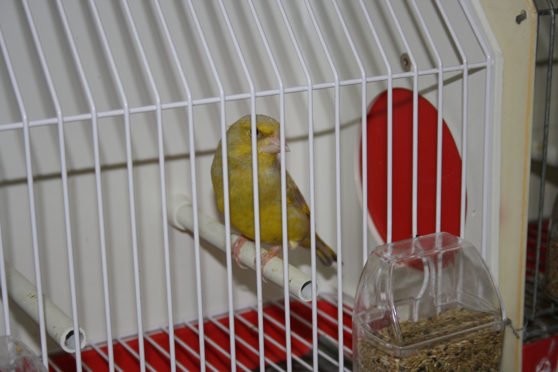 IMG_7342.JPG