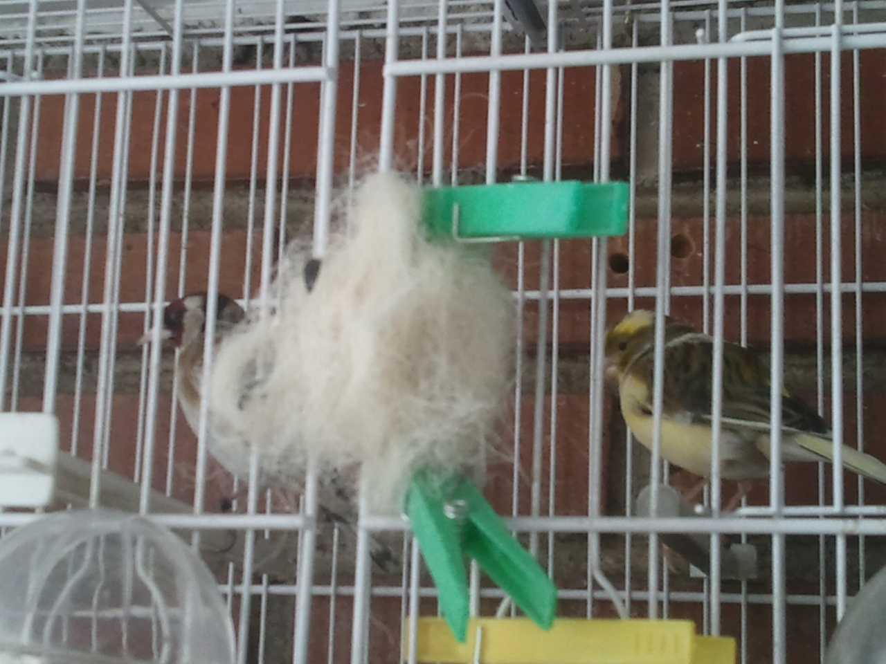 2012-03-26 13.35.01.jpg