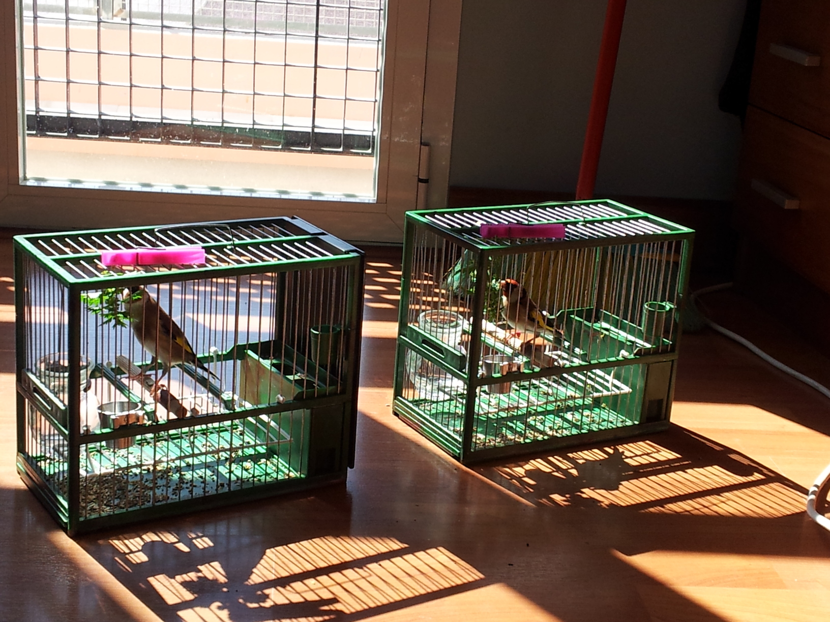 2012-03-27 12.10.37.jpg