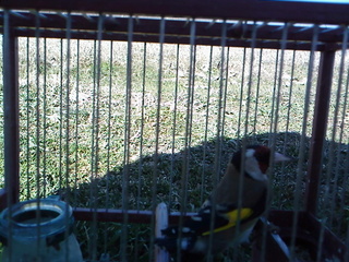 IMG027.jpg