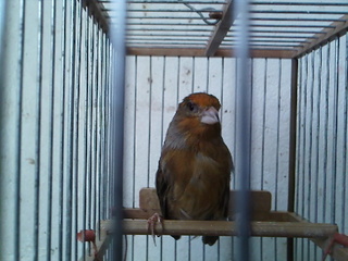 IMG131.jpg
