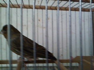 IMG127.jpg