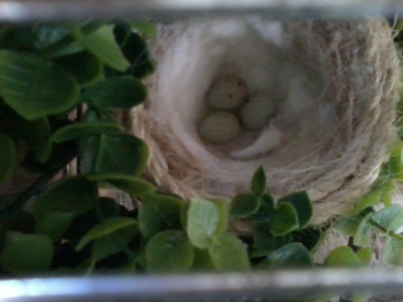 2012-04-02 09.37.46.jpg