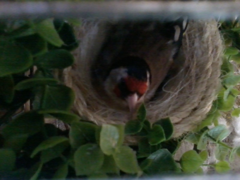 2012-04-02 09.36.01.jpg