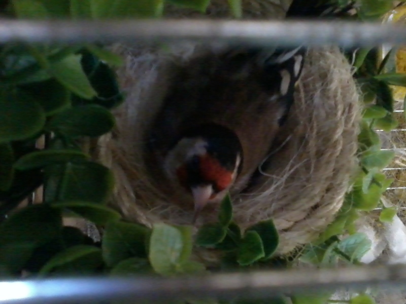 2012-04-02 09.35.39.jpg