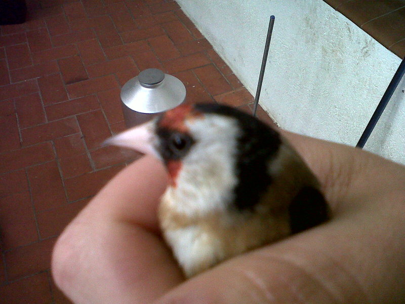 IMG00031-20120404-1646.jpg