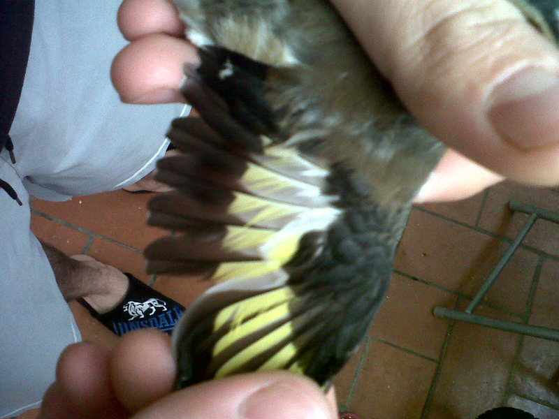 IMG00032-20120405-0932.jpg