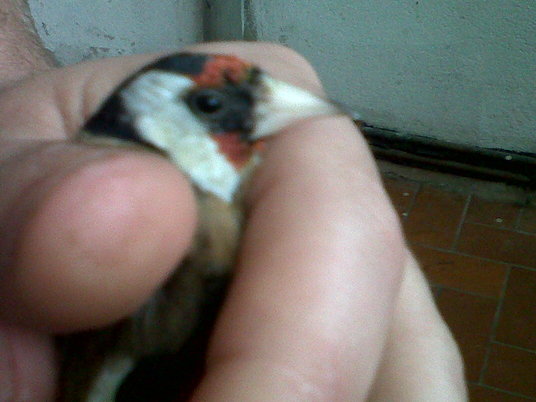 IMG00033-20120405-0933.jpg