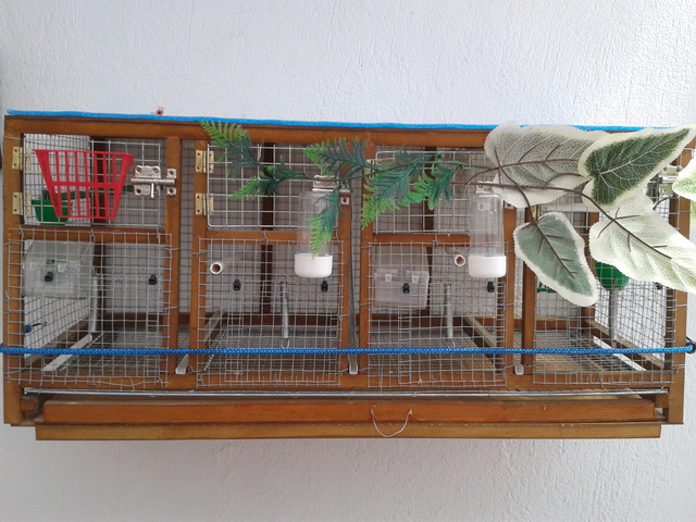 2012-04-05 13.56.53.jpg