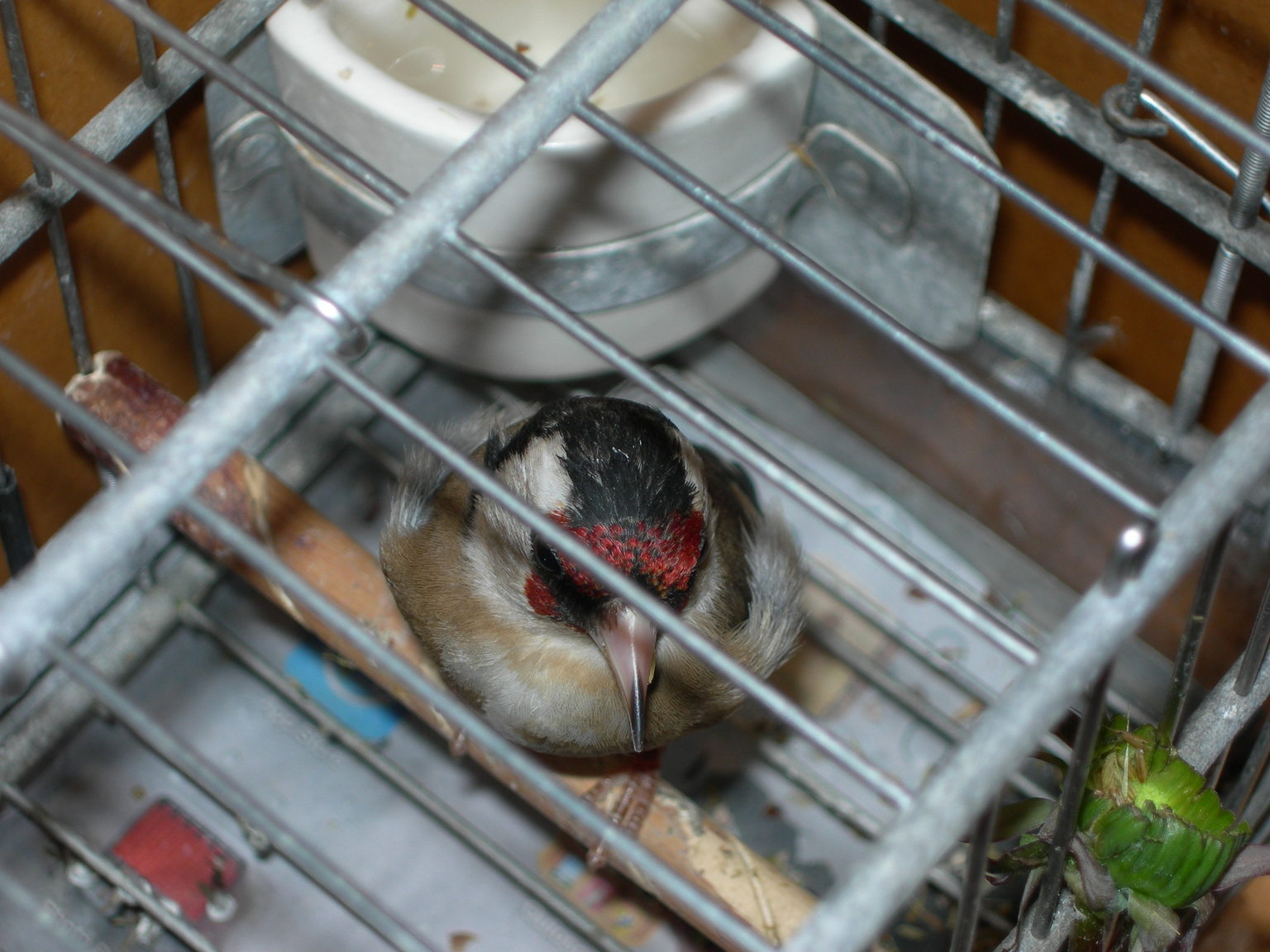 DSCN3265.JPG