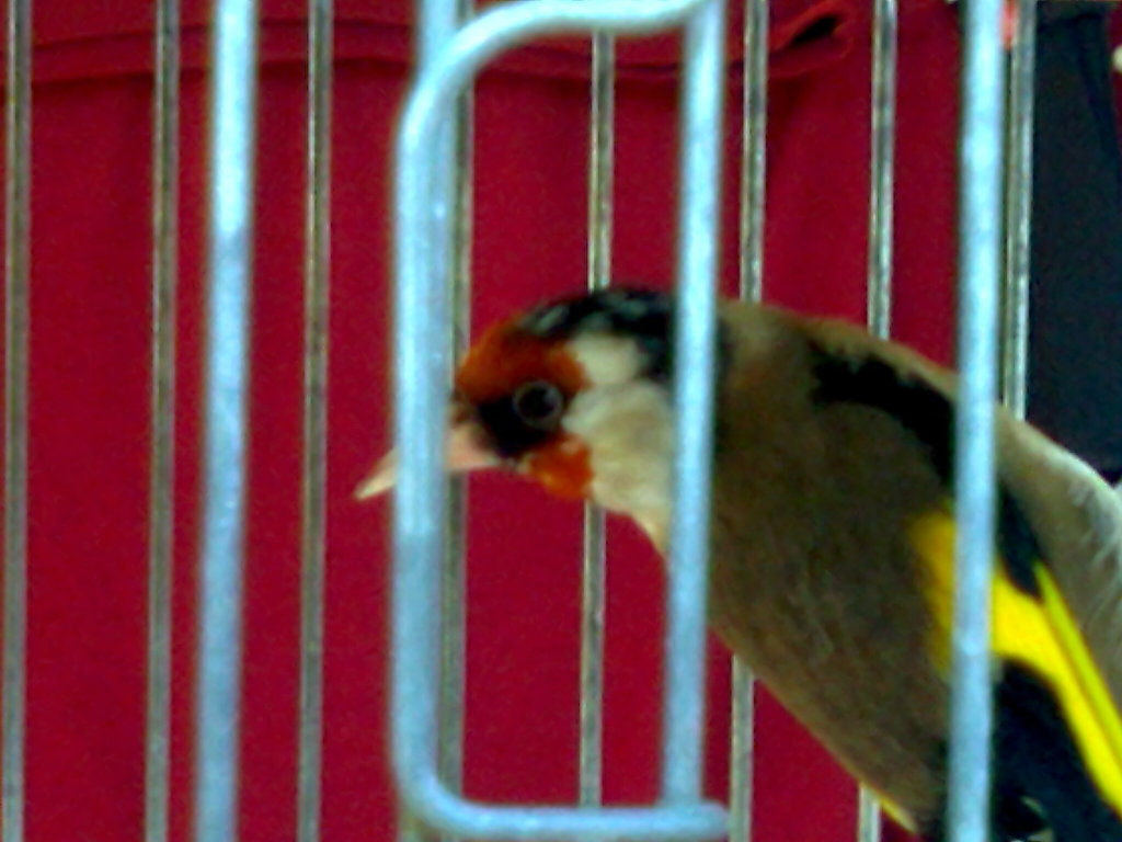Foto0031.jpg