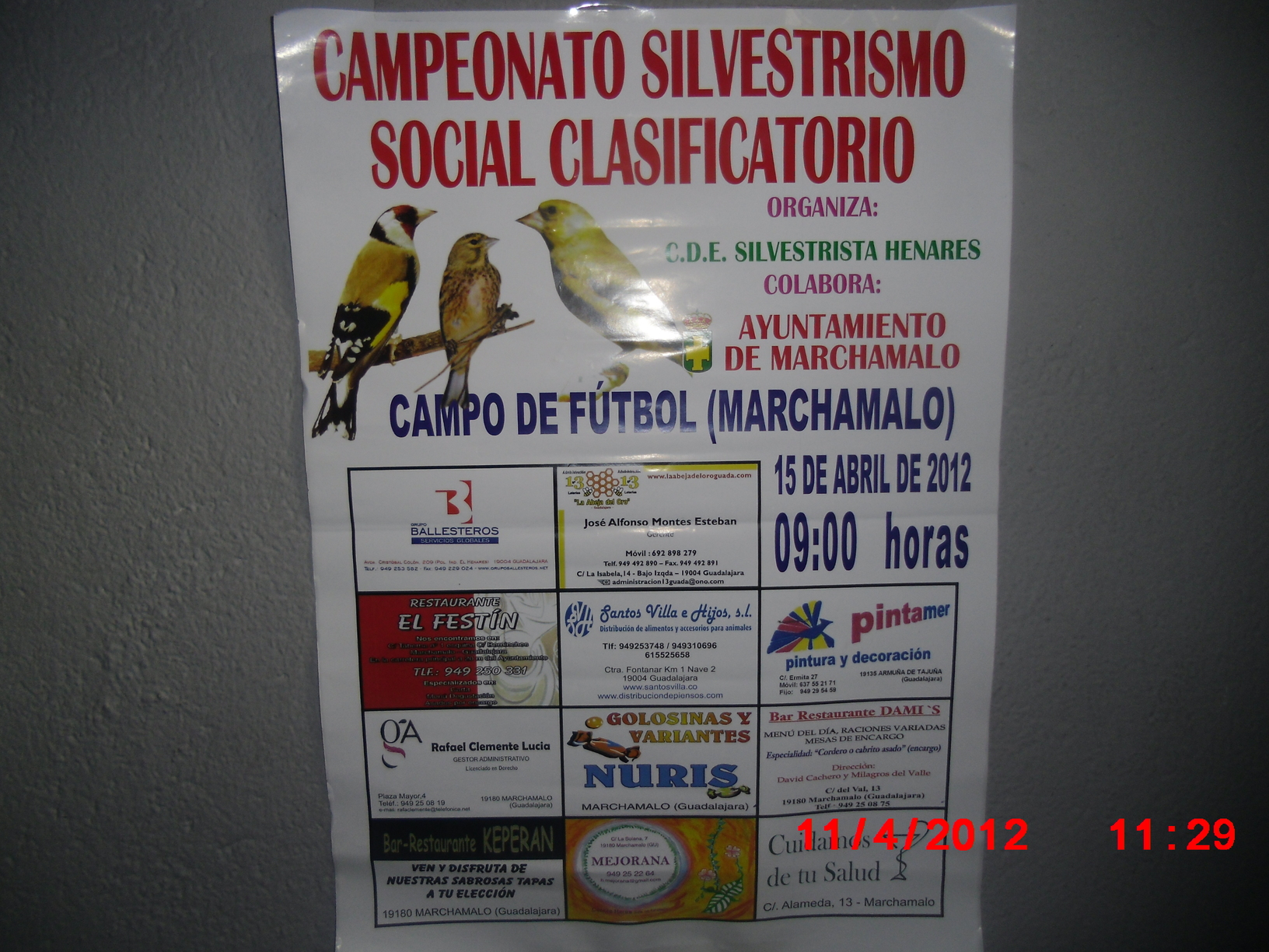 CIMG1386.JPG
