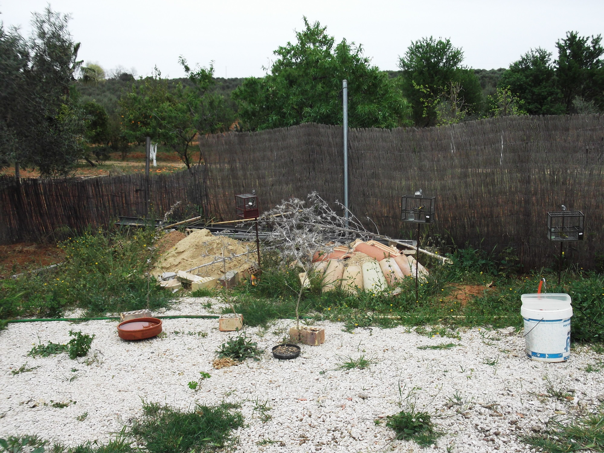 DSCF7944.JPG