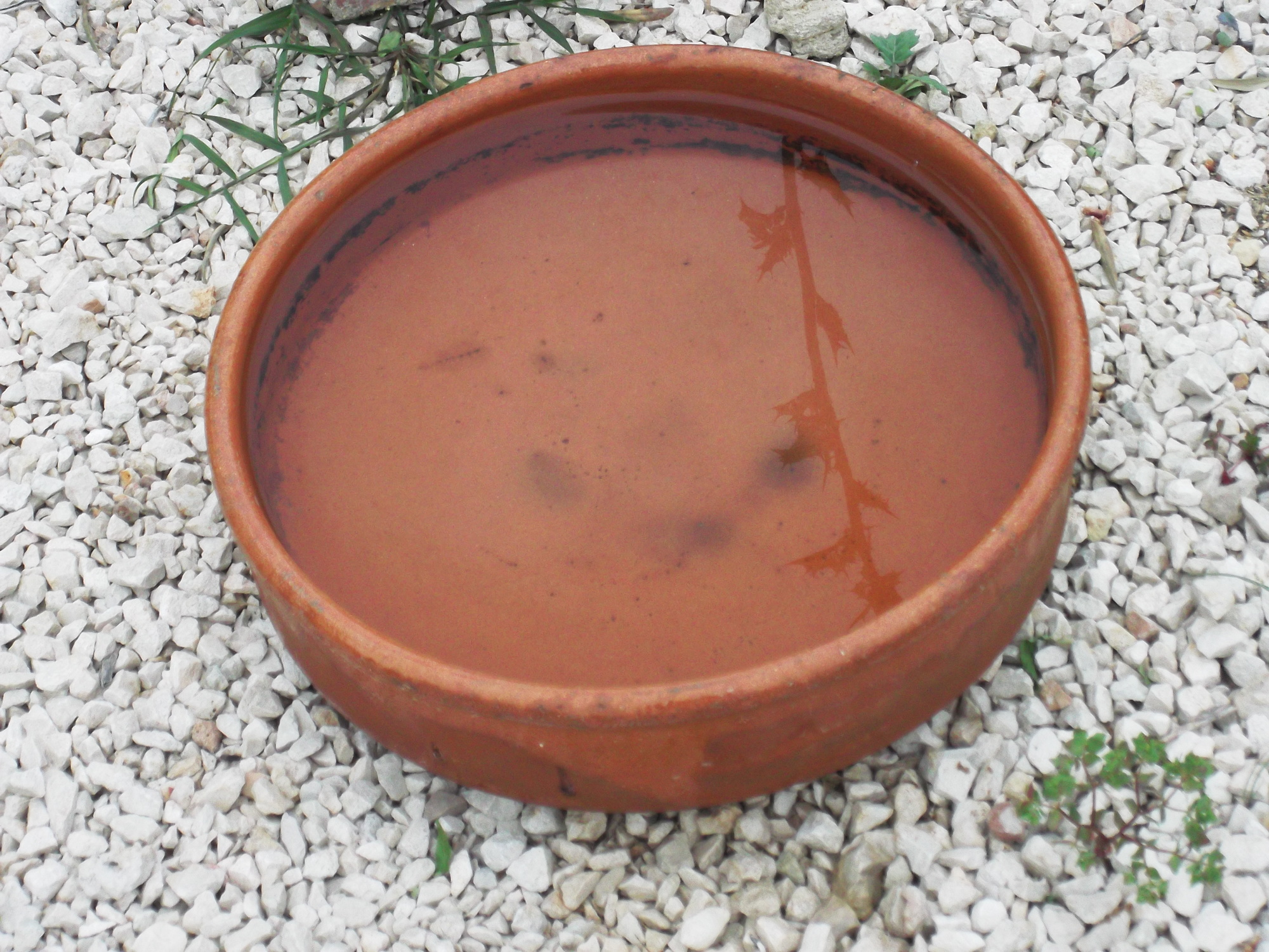 DSCF7952.JPG